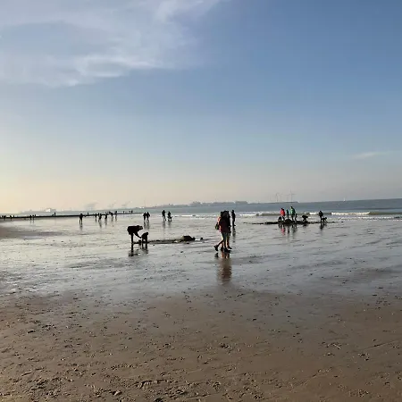 Luxueus Nieuw Zonnig Hoekappartement Seaview Heldenplein - Ruime Garagebox - 2 Fietsen Apartment Knokke-Heist